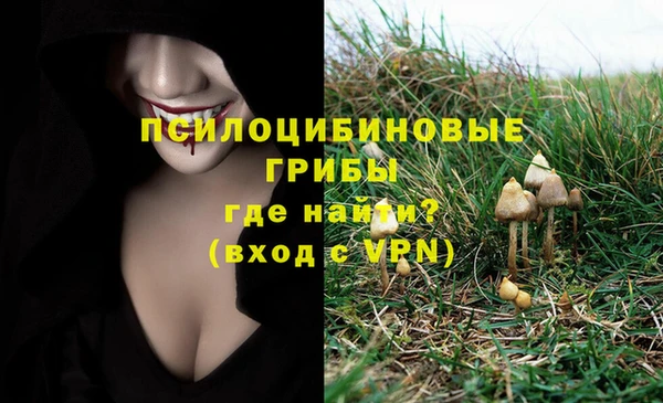 MESCALINE Алексеевка
